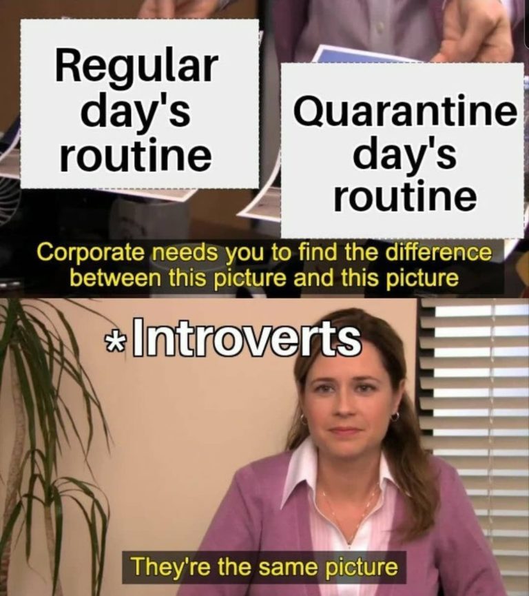 Funny Quarantine Memes