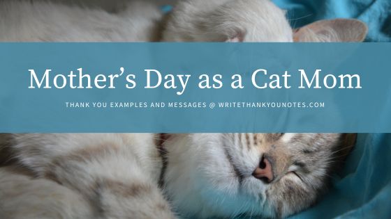 Celebrating Mother’s Day as a Cat Mom: A Purrfectly Special Day