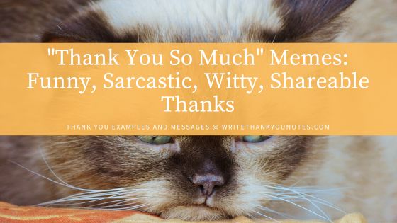 “Thank You So Much” Memes: Funny, Sarcastic, Witty, Shareable Thanks